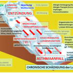 Asthma-Lawine n. Winkler.PNG